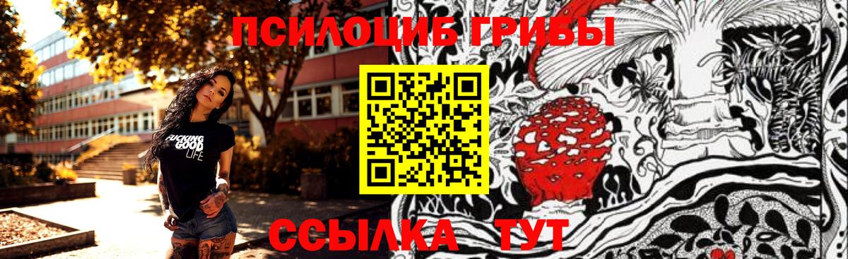 Коломна  закладка  Вход с VPN  Псилоцибиновые грибы GOLDEN TEACHER 