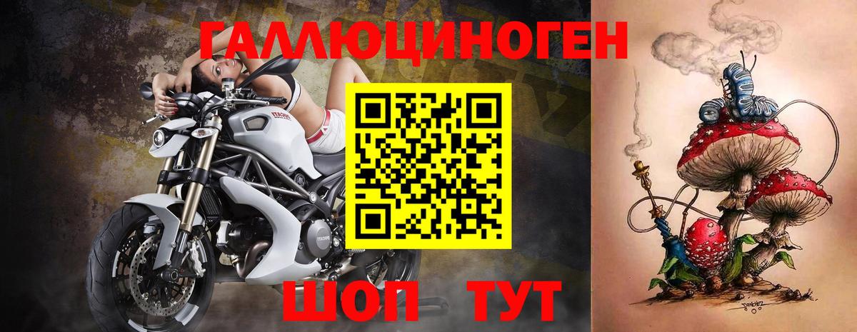 Галлюциногенные грибы Psilocybe Коломна